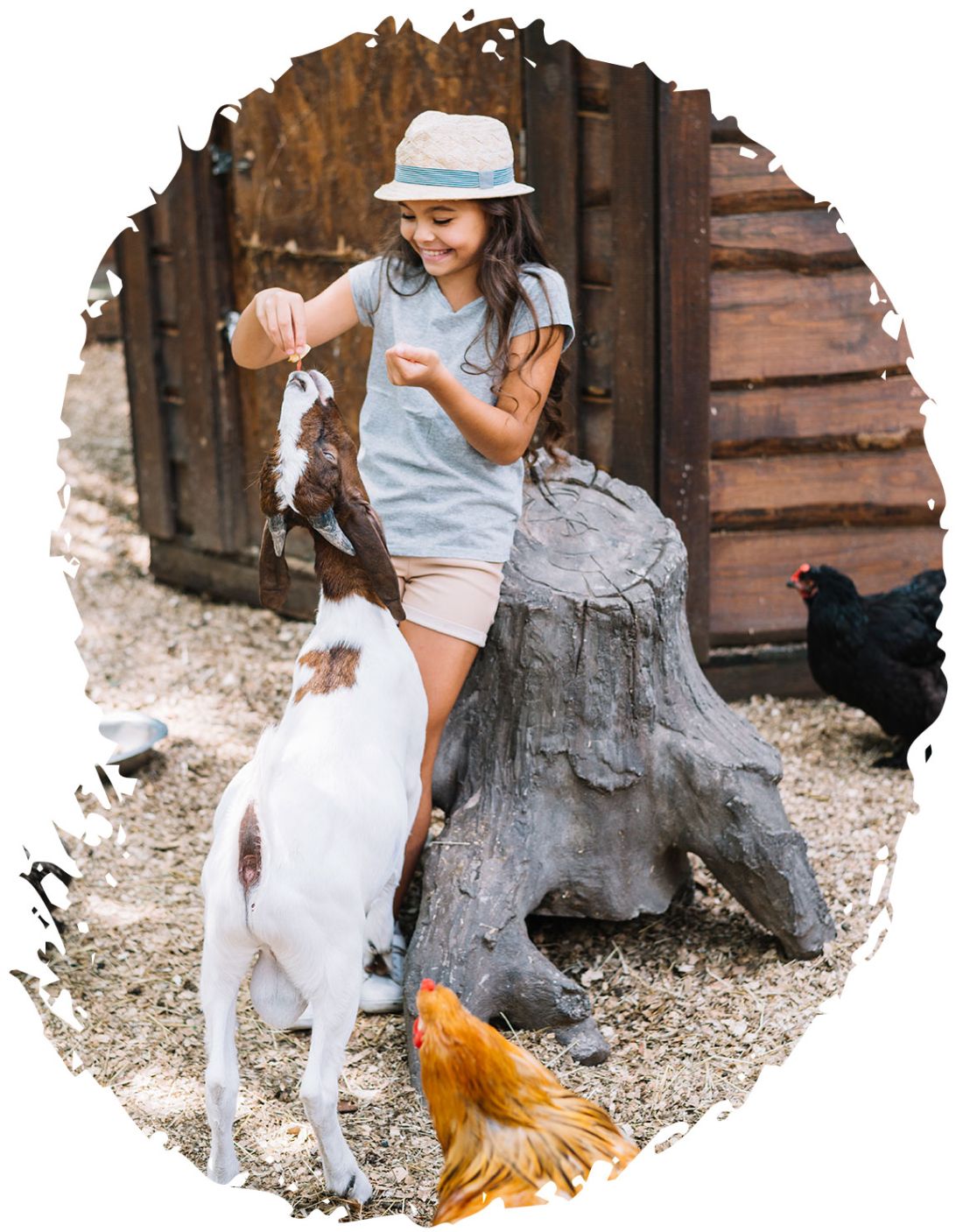 Campamento con animales