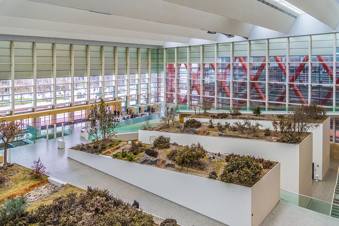Museo de la Evolución Humana